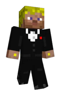 Pumphutt Minecraft avatar full body