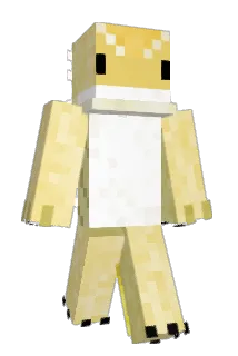 PunZilla Minecraft avatar full body