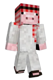 Punatauti Minecraft avatar full body