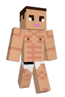 PunchTrees825 Minecraft avatar full body