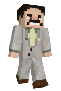 Punchbag74 Minecraft avatar full body