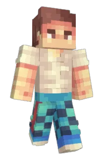 Punidamps Minecraft avatar full body