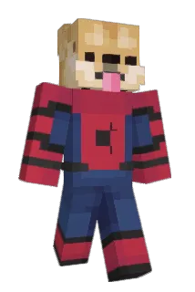 Punishercheese Minecraft avatar full body