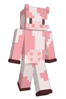 PunkyFarmer Minecraft avatar full body