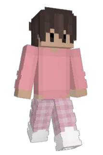 Punt Minecraft avatar full body