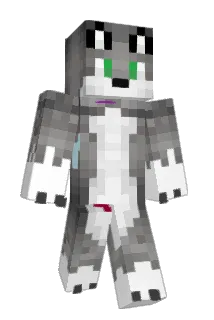 Pup56 Minecraft avatar full body
