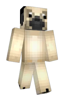 PuppyCraft_ Minecraft avatar full body