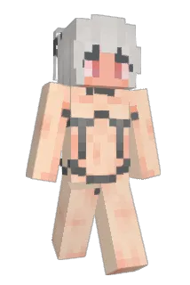 PuppyQuinny Minecraft avatar full body
