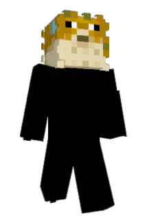 Pupsimgesicht Minecraft avatar full body