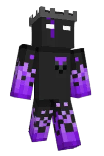 Pur9 Minecraft avatar full body