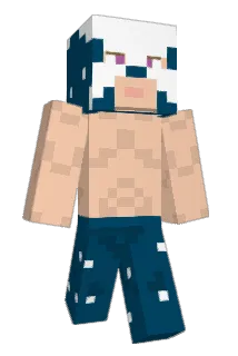 Purlwise Minecraft avatar full body
