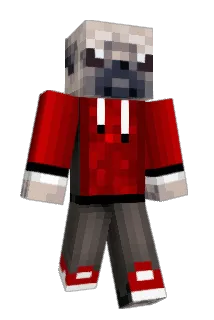 PurpleStar123 Minecraft avatar full body