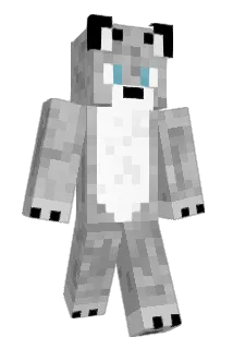 Pustee Minecraft avatar full body