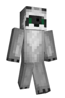 Puy Minecraft avatar full body