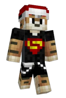 Pvbragt Minecraft avatar full body
