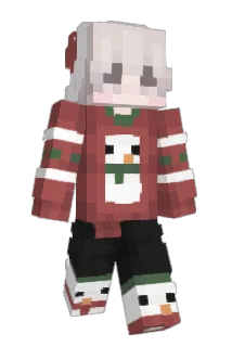 Pvuszynski Minecraft avatar full body