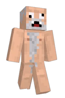 Pwned_ Minecraft avatar full body
