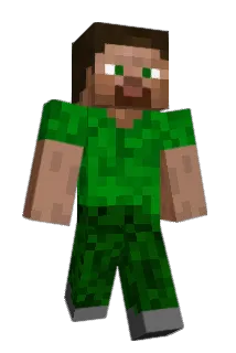 Pxx500 Minecraft avatar full body