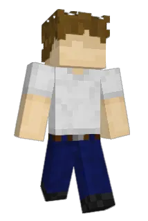 PyQoN Minecraft avatar full body