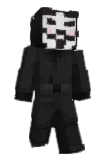 Pyiw Minecraft avatar full body