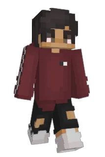 Pylerrr Minecraft avatar full body