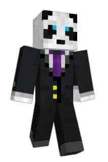 Pyppus Minecraft avatar full body