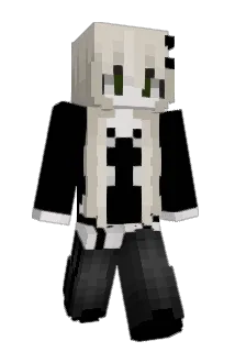 Pyykinpesuaine Minecraft avatar full body