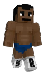 Custom render preview