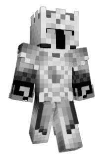 Q01D Minecraft avatar full body