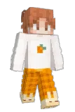 Q33_ Minecraft avatar full body