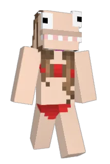 Q45DU01F Minecraft avatar full body