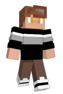 Q5__ Minecraft avatar full body