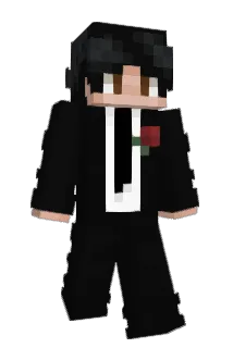 Q824 Minecraft avatar full body
