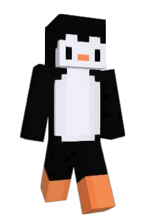 QAERTUJ Minecraft avatar full body
