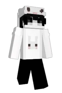 QIERYE Minecraft avatar full body