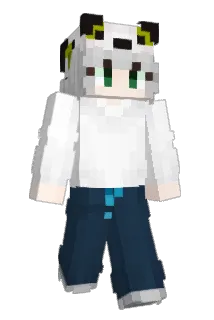 QJBoy_Idiot Minecraft avatar full body