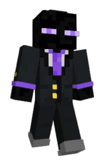 QNEAL Minecraft avatar full body