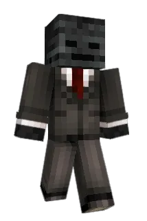 QRHFTW Minecraft avatar full body