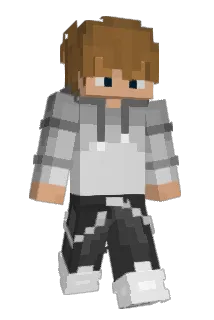 QTPerfection Minecraft avatar full body