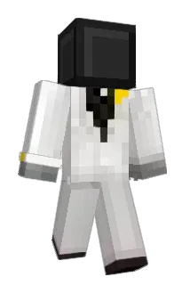 QTS2029 Minecraft avatar full body