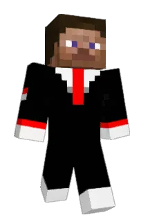QWQQAZR Minecraft avatar full body