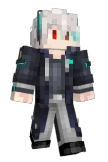 QWSA655 Minecraft avatar full body