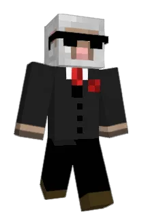 QXRSJ Minecraft avatar full body
