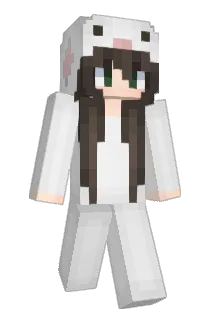 Q_4 Minecraft avatar full body