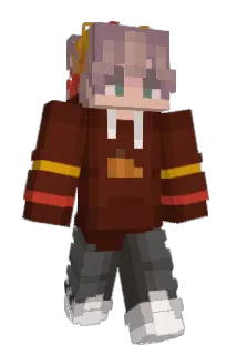 Q_________Q Minecraft avatar full body