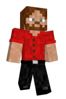 Qbert14 Minecraft avatar full body