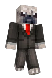 Qdogg09 Minecraft avatar full body