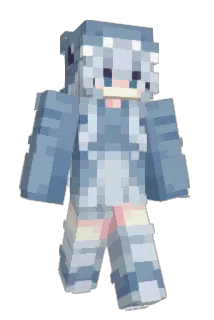 Qoinlan Minecraft avatar full body