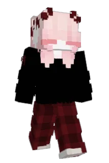 Qsewiz Minecraft avatar full body