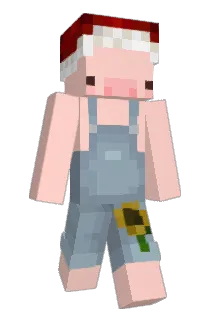 Qskar Minecraft avatar full body